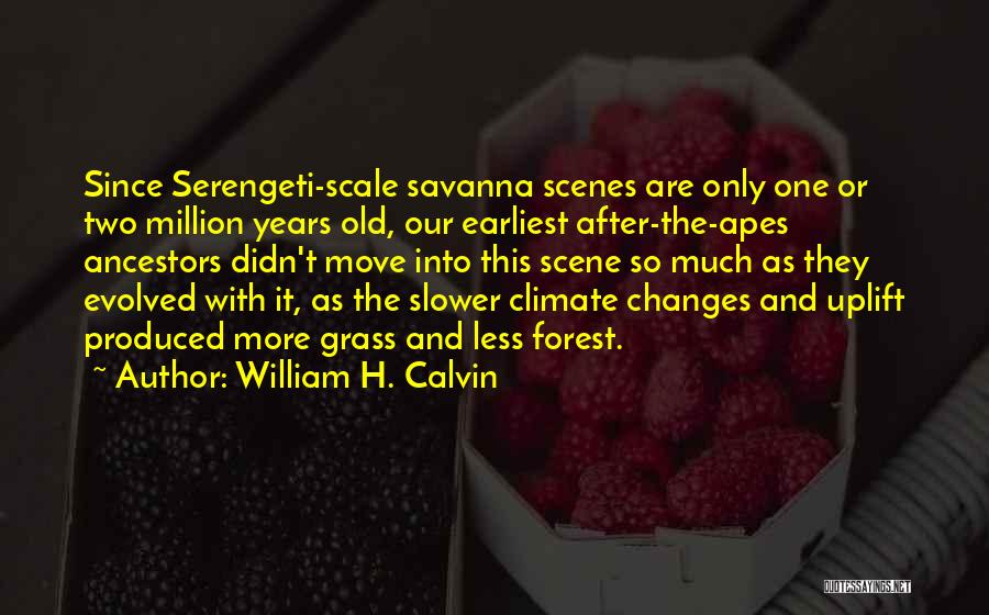 Climate Changes Quotes By William H. Calvin