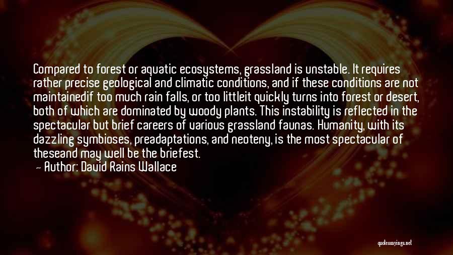 Climatic Conditions Quotes By David Rains Wallace