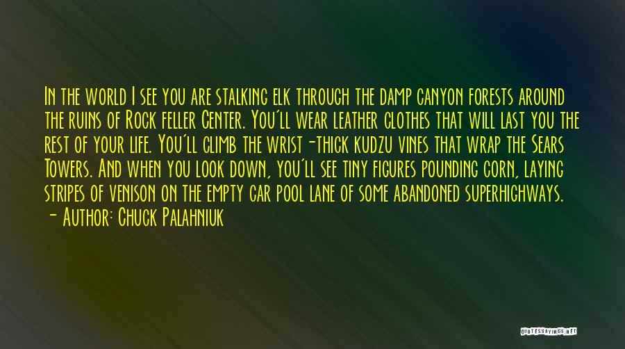 Climb Down Quotes By Chuck Palahniuk