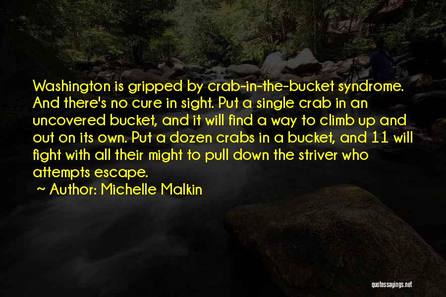 Climb Down Quotes By Michelle Malkin