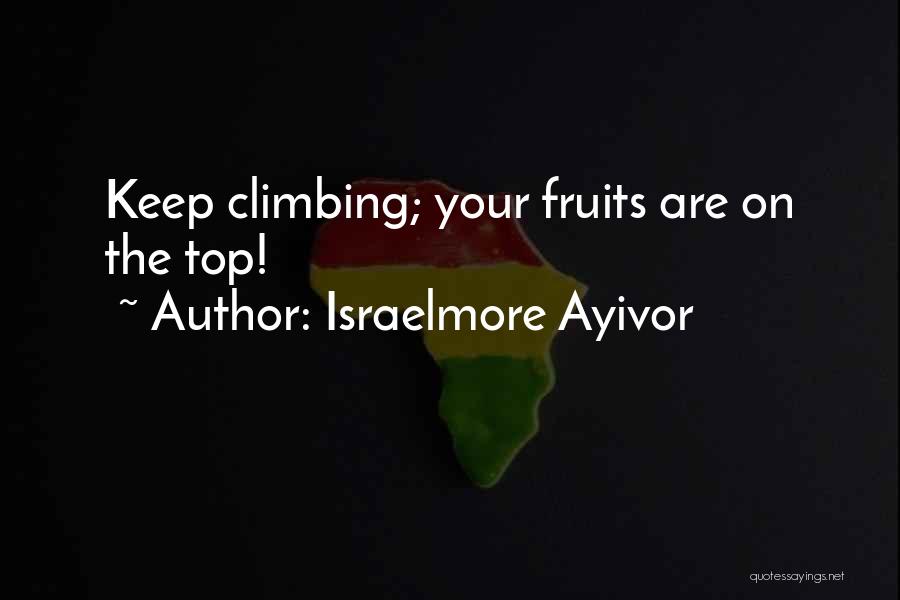 Climb Quotes By Israelmore Ayivor