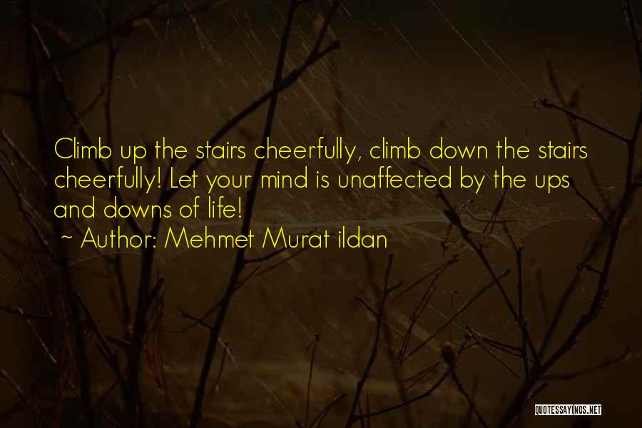 Climb Stairs Quotes By Mehmet Murat Ildan