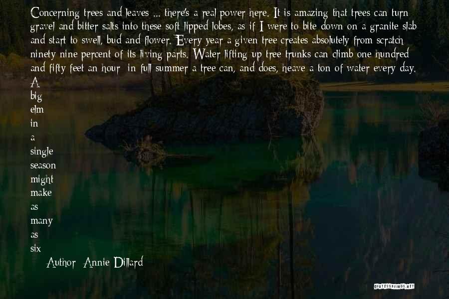 Climb Up A Tree Quotes By Annie Dillard