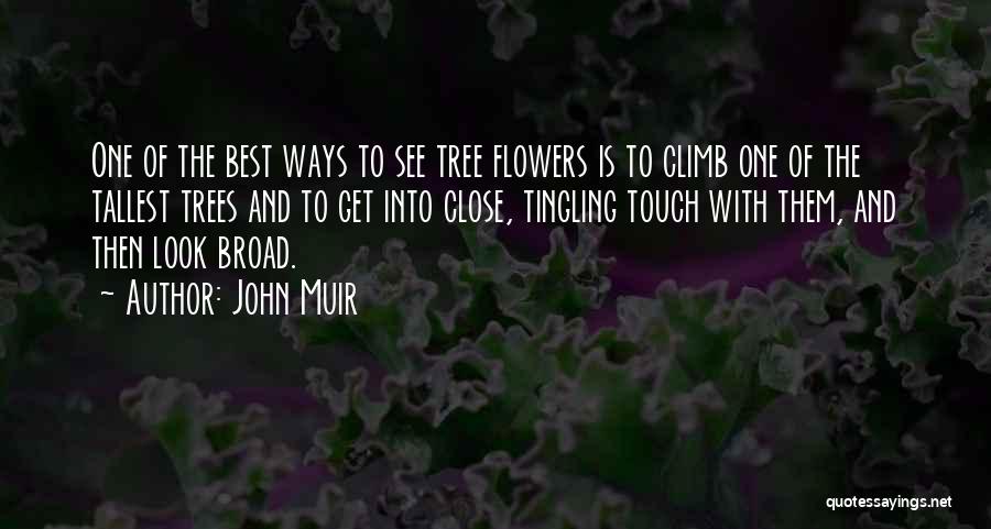 Climb Up A Tree Quotes By John Muir