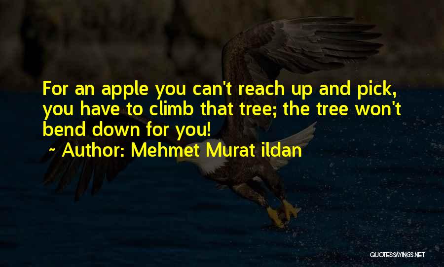 Climb Up A Tree Quotes By Mehmet Murat Ildan