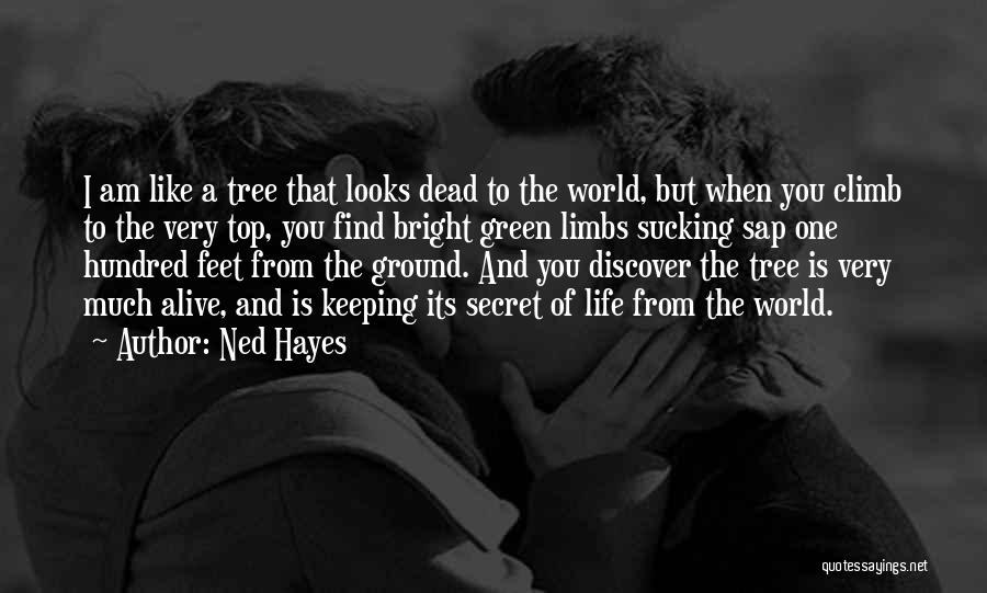 Climb Up A Tree Quotes By Ned Hayes