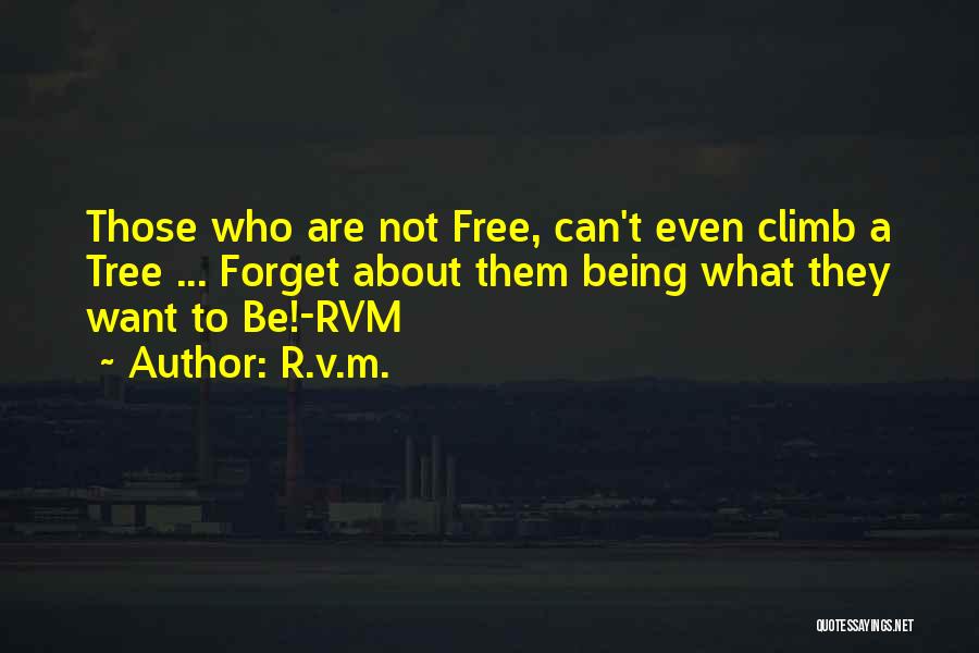 Climb Up A Tree Quotes By R.v.m.