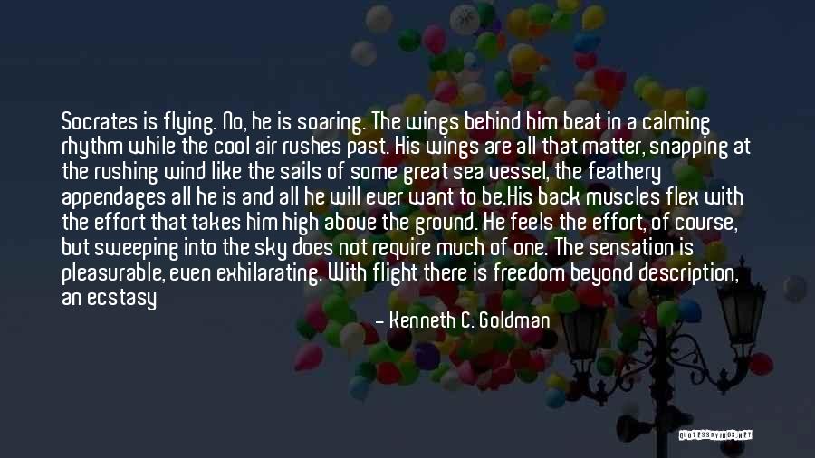 Climb Up High Quotes By Kenneth C. Goldman Climb Up High Quotes By Kenneth C. Goldman