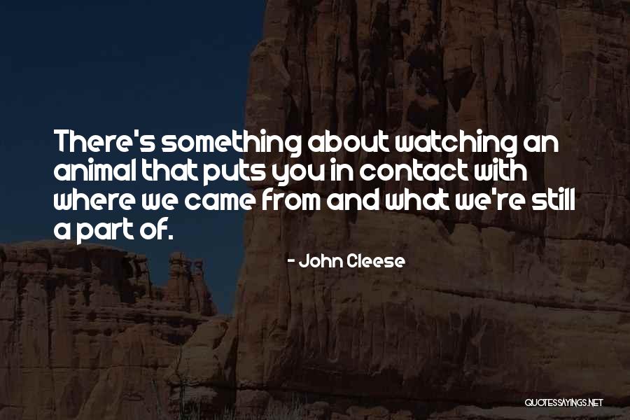 Climbable Bookshelves Quotes By John Cleese Climbable Bookshelves Quotes By John Cleese