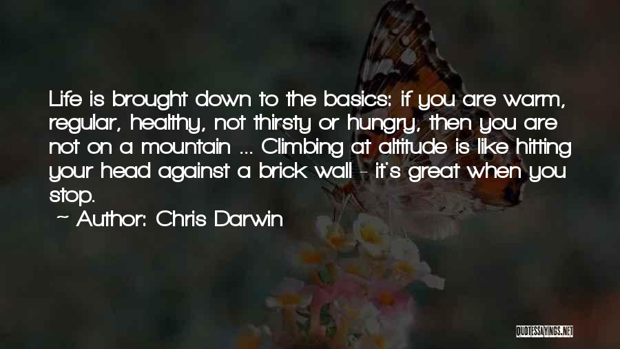 Climbing A Mountain Quotes By Chris Darwin