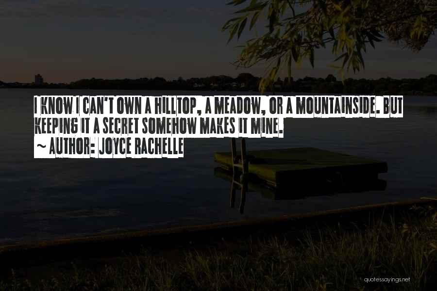 Climbing A Mountain Quotes By Joyce Rachelle