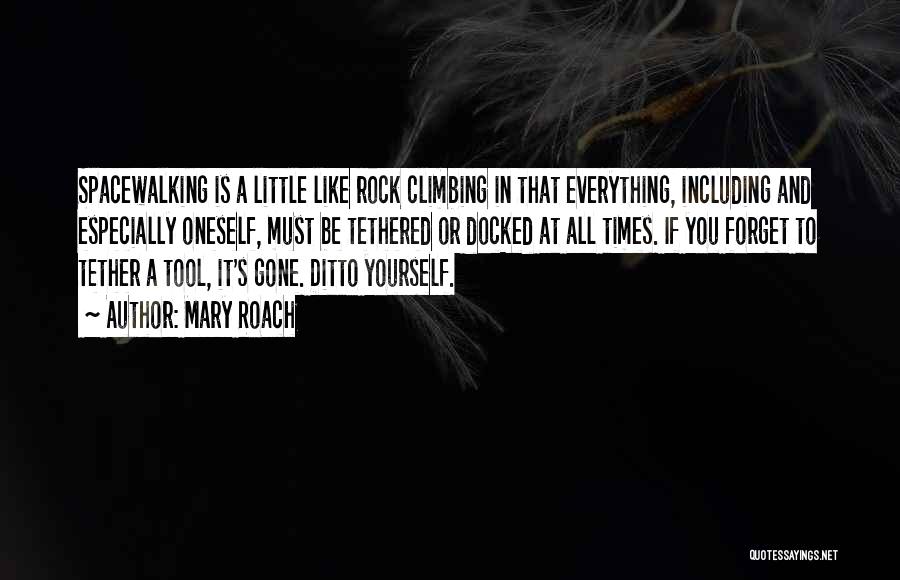 Climbing A Rock Quotes By Mary Roach
