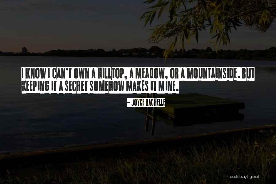 Climbing Mountains Quotes By Joyce Rachelle Climbing Mountains Quotes By Joyce Rachelle