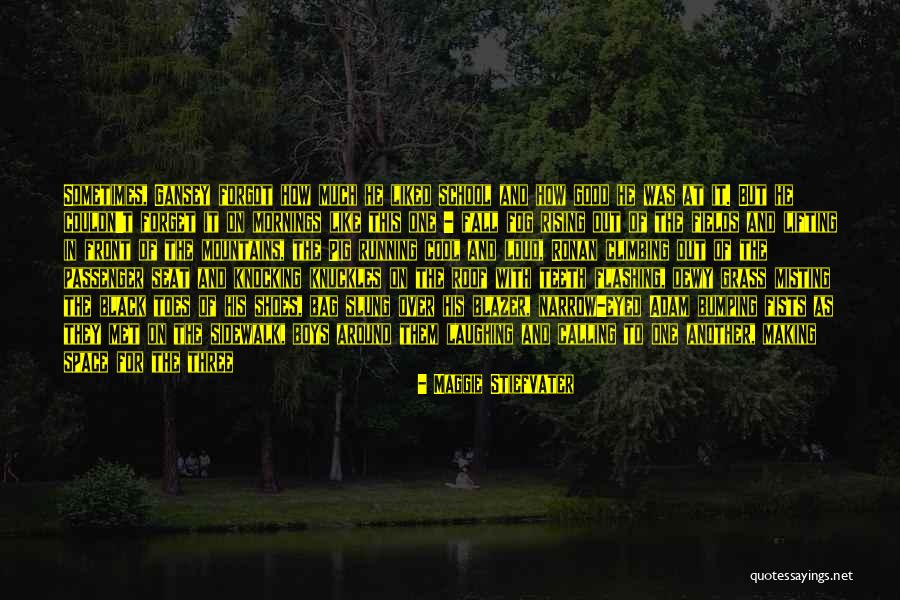 Climbing Mountains Quotes By Maggie Stiefvater Climbing Mountains Quotes By Maggie Stiefvater