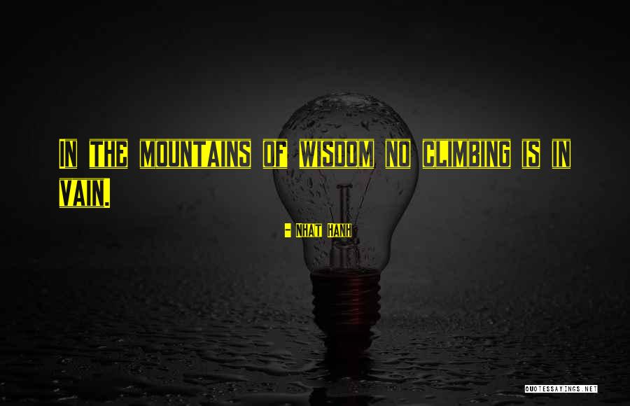 Climbing Mountains Quotes By Nhat Hanh
