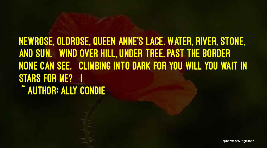 Climbing The Hill Quotes By Ally Condie