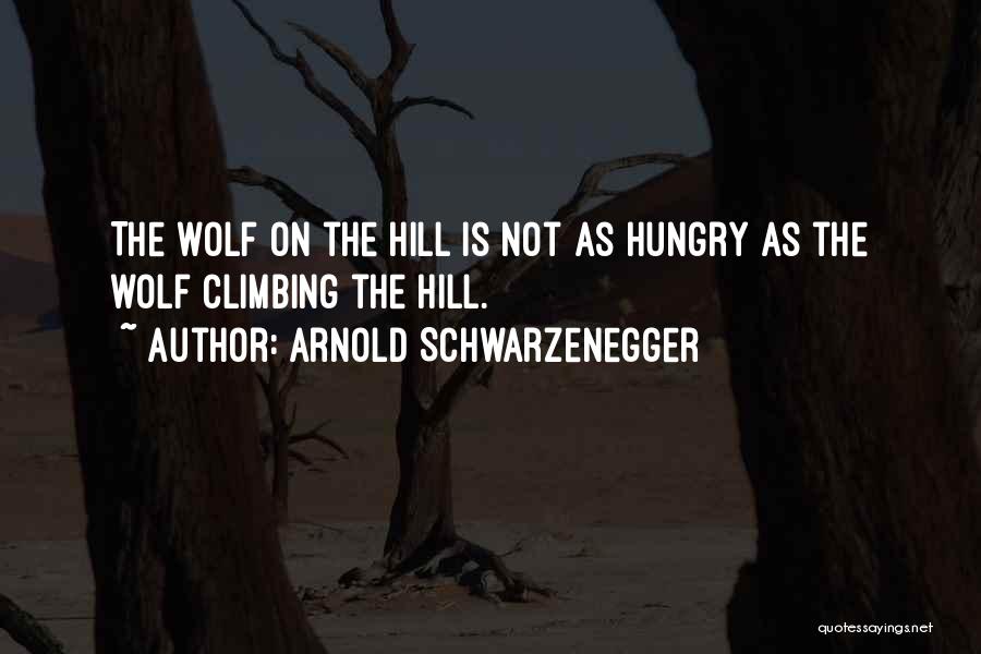 Climbing The Hill Quotes By Arnold Schwarzenegger