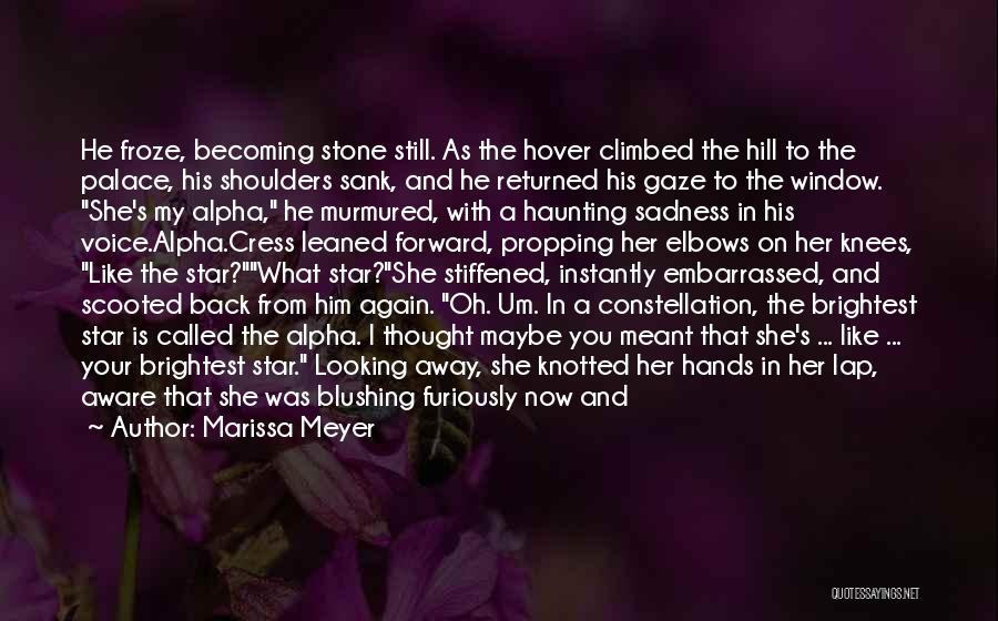 Climbing The Hill Quotes By Marissa Meyer