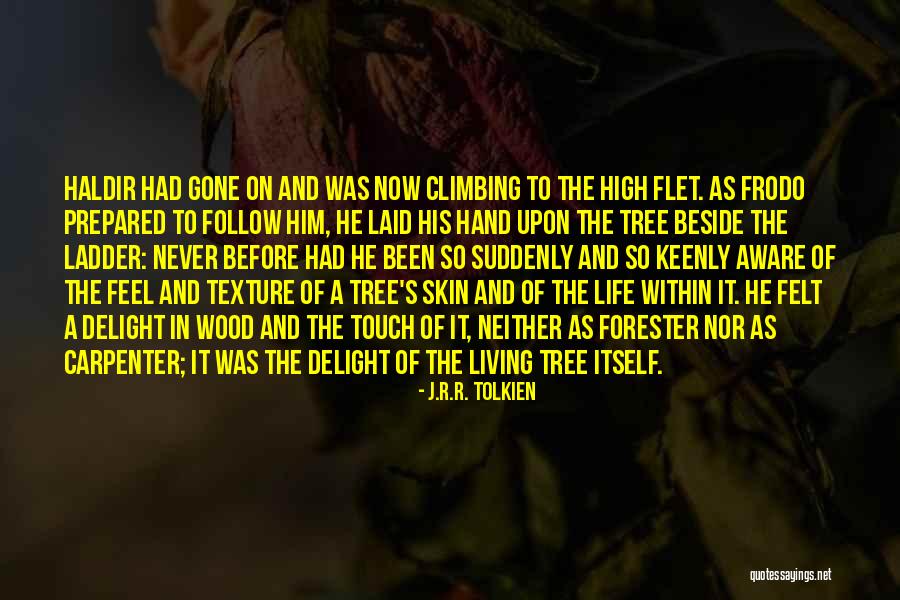 Climbing The Ladder Quotes By J.R.R. Tolkien Climbing The Ladder Quotes By J.R.R. Tolkien