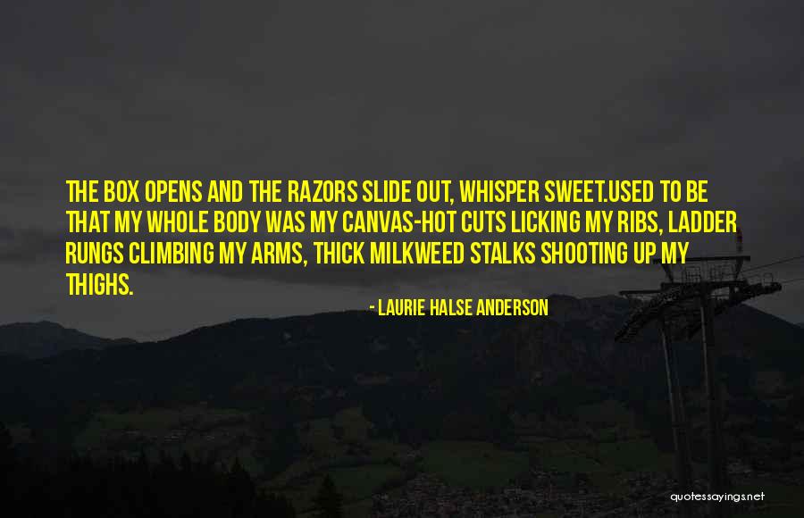 Climbing The Ladder Quotes By Laurie Halse Anderson