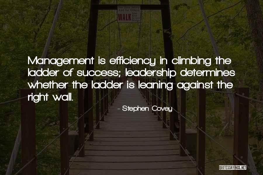 Climbing The Ladder Quotes By Stephen Covey