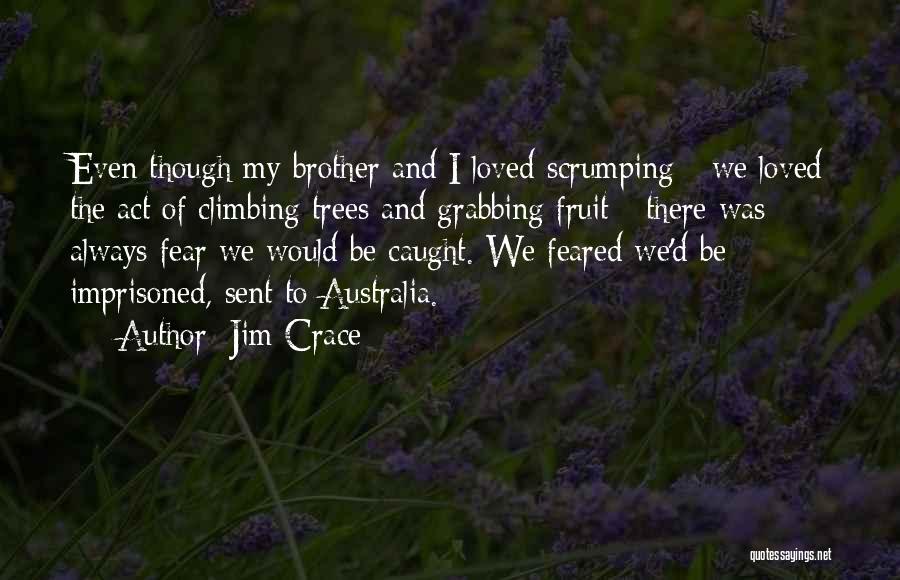 Climbing Trees Quotes By Jim Crace