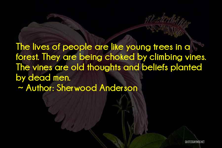 Climbing Trees Quotes By Sherwood Anderson