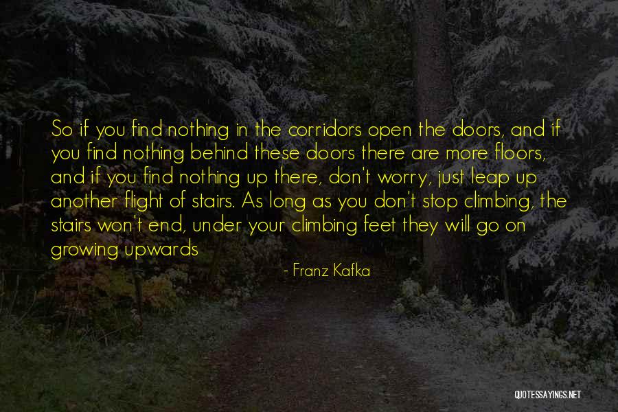 Climbing Up The Stairs Quotes By Franz Kafka