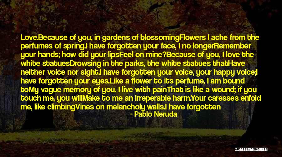 Climbing Vines Quotes By Pablo Neruda