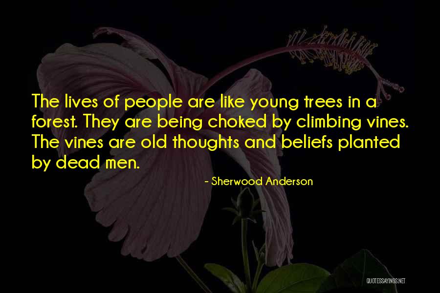 Climbing Vines Quotes By Sherwood Anderson