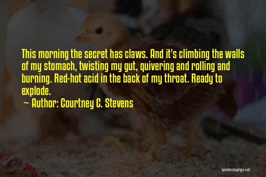 Climbing Walls Quotes By Courtney C. Stevens