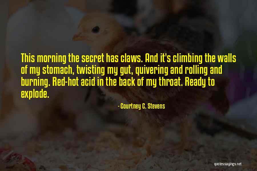 Climbing Walls Quotes By Courtney C. Stevens