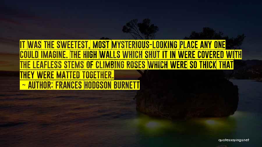 Climbing Walls Quotes By Frances Hodgson Burnett