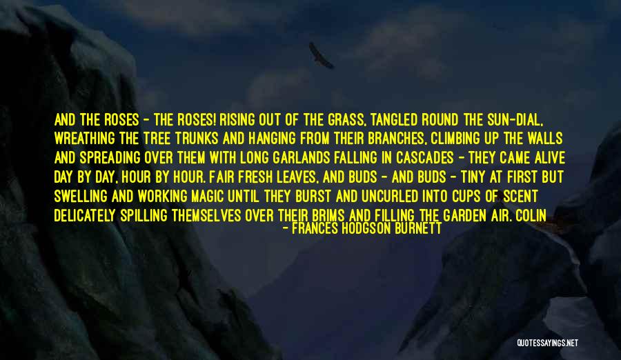 Climbing Walls Quotes By Frances Hodgson Burnett Climbing Walls Quotes By Frances Hodgson Burnett