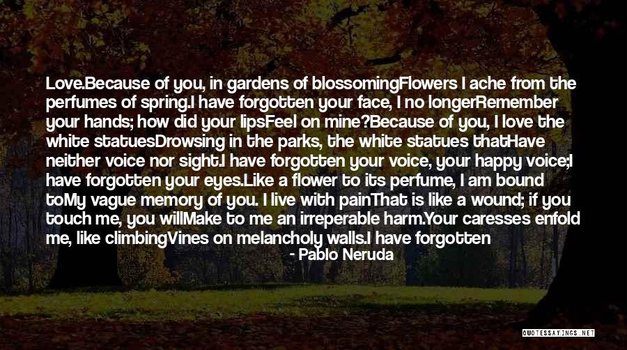 Climbing Walls Quotes By Pablo Neruda