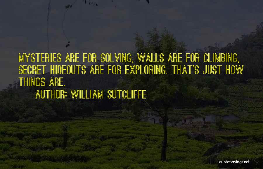 Climbing Walls Quotes By William Sutcliffe