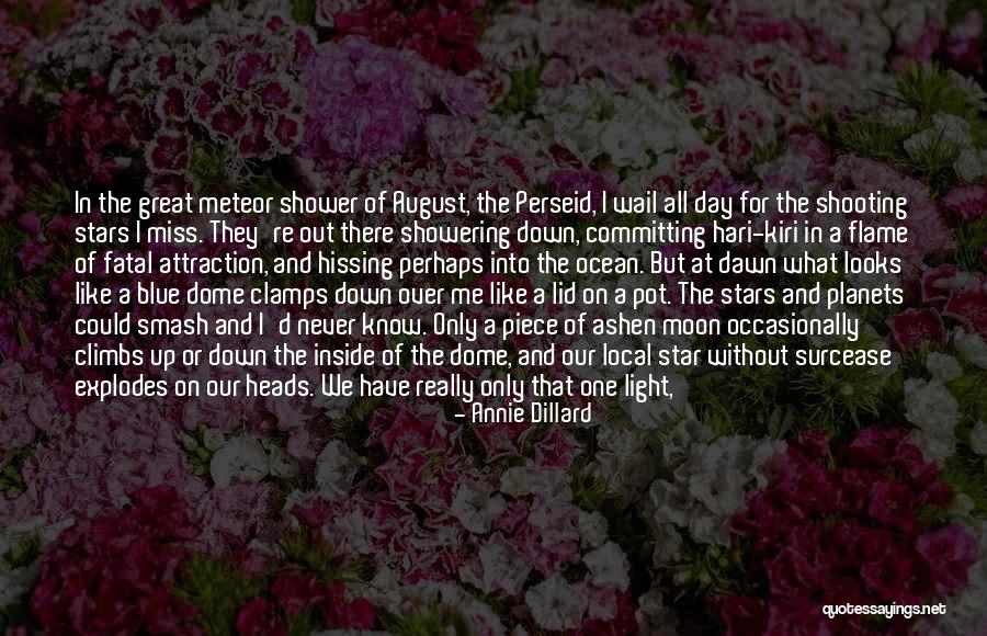 Climbs Quotes By Annie Dillard Climbs Quotes By Annie Dillard