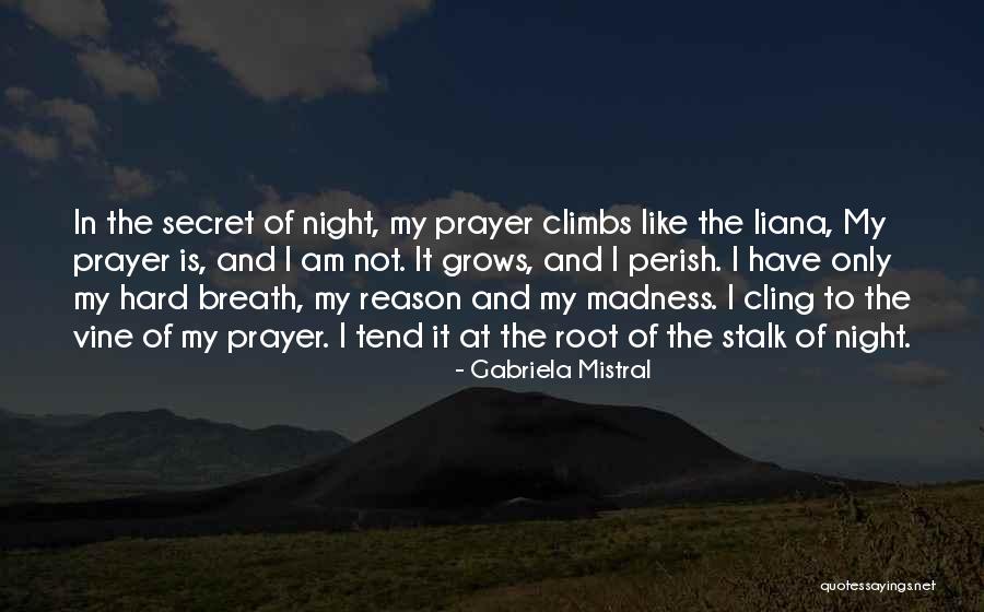 Climbs Quotes By Gabriela Mistral Climbs Quotes By Gabriela Mistral