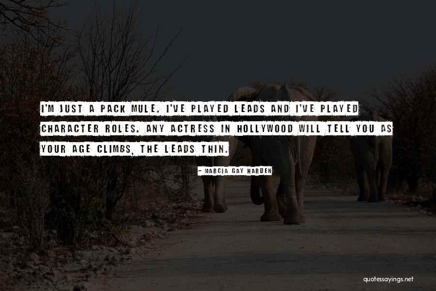 Climbs Quotes By Marcia Gay Harden Climbs Quotes By Marcia Gay Harden