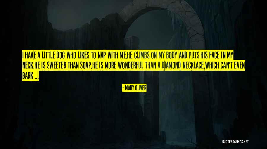 Climbs Quotes By Mary Oliver Climbs Quotes By Mary Oliver