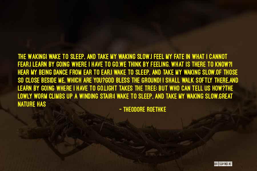 Climbs Quotes By Theodore Roethke Climbs Quotes By Theodore Roethke
