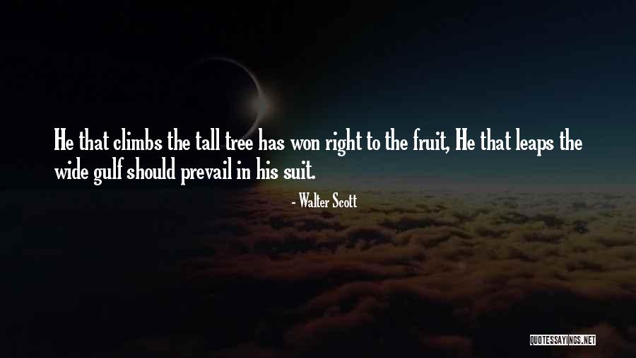 Climbs Quotes By Walter Scott Climbs Quotes By Walter Scott