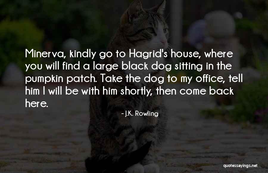 Clinching Boxing Quotes By J.K. Rowling Clinching Boxing Quotes By J.K. Rowling