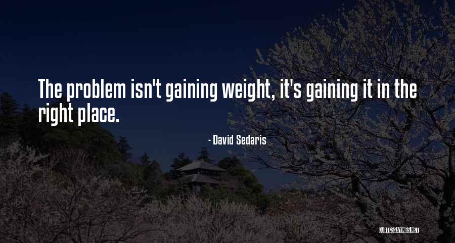 Clintonian Liberalism Quotes By David Sedaris Clintonian Liberalism Quotes By David Sedaris