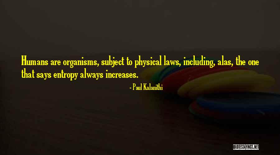 Clip Maker Panzoid Quotes By Paul Kalanithi Clip Maker Panzoid Quotes By Paul Kalanithi