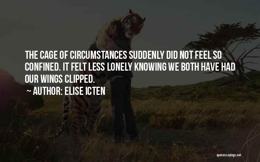 Clipped Wings Quotes By Elise Icten