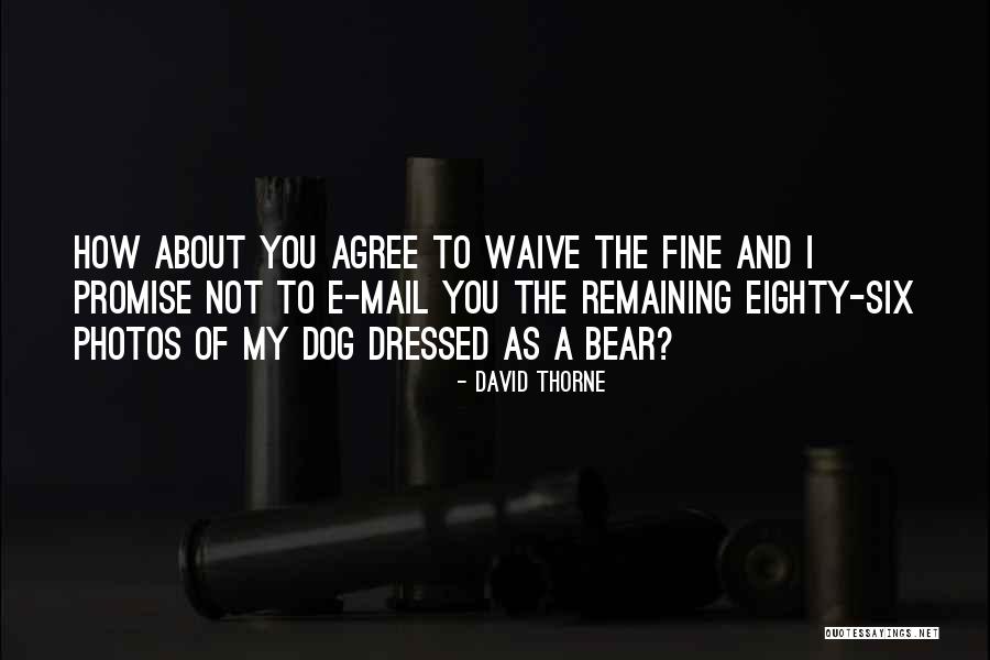 Clitty Quotes By David Thorne Clitty Quotes By David Thorne