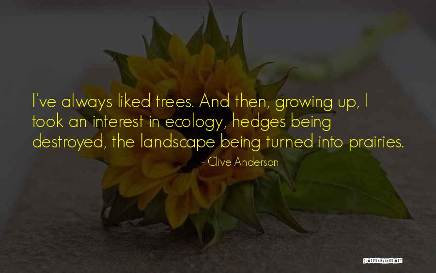 Clive Anderson Quotes 585009