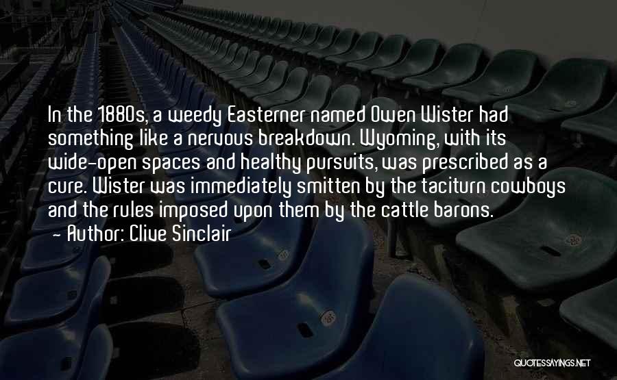 Clive Sinclair Quotes 946626