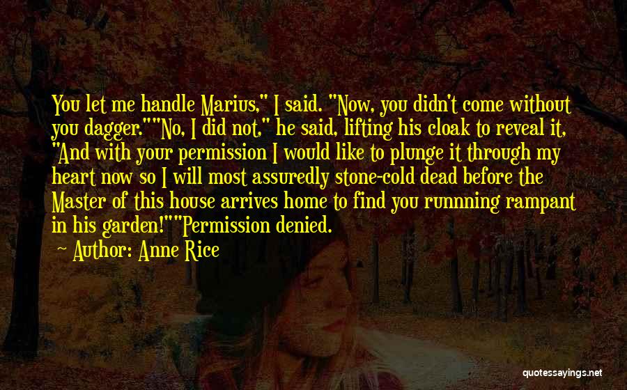 Cloak And Dagger Quotes By Anne Rice